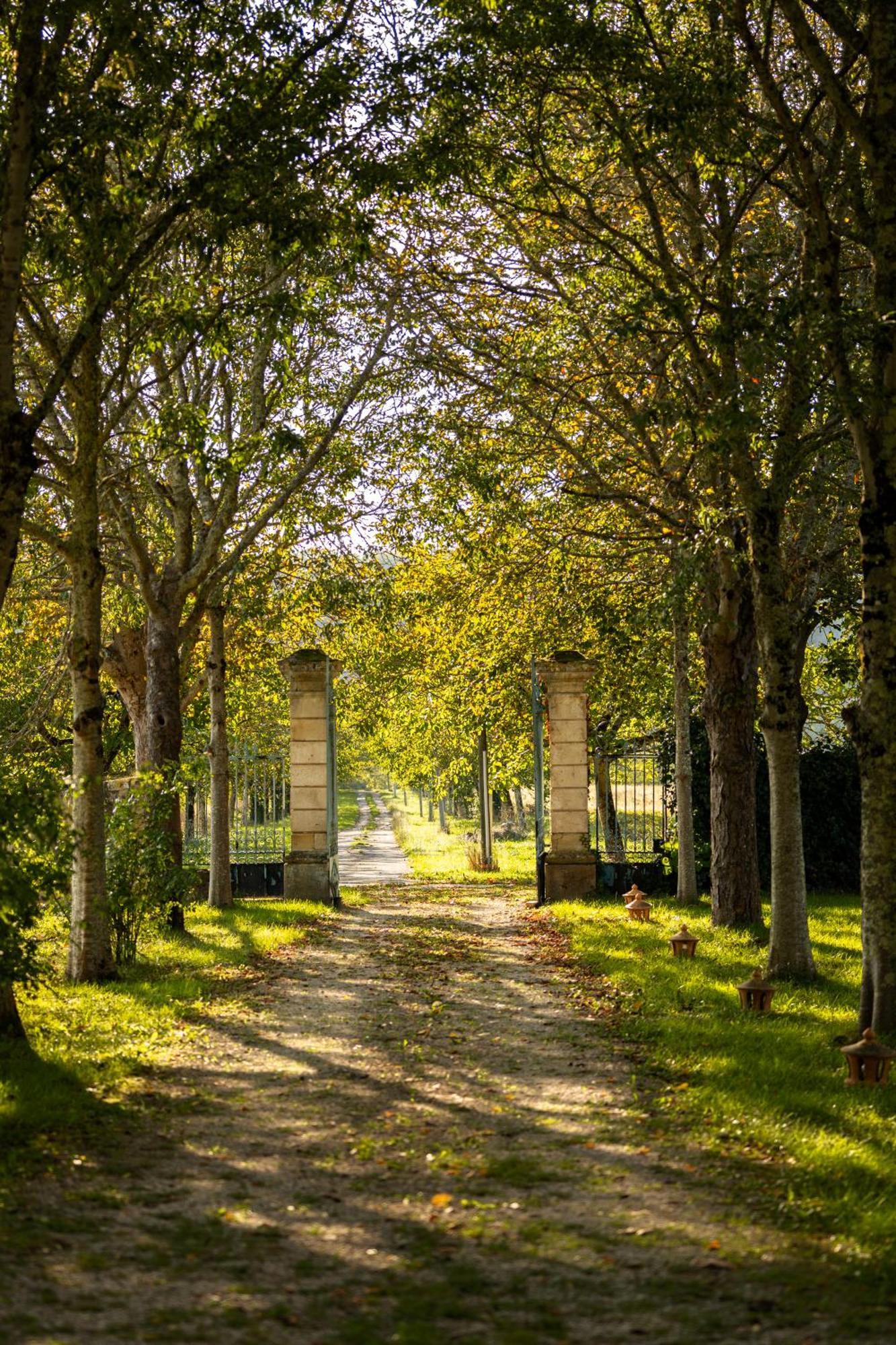 Chateau La Gineste - Castle And Vineyard Duravel Zewnętrze zdjęcie